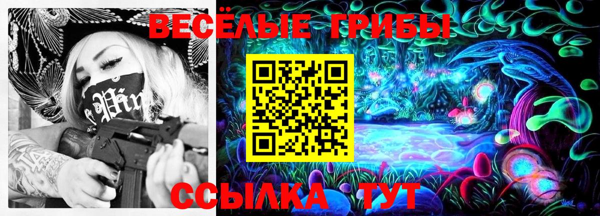 Псилоцибиновые грибы GOLDEN TEACHER Борисоглебск