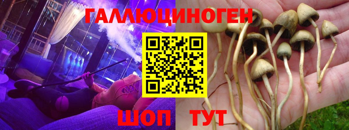 Псилоцибиновые грибы MAGIC MUSHROOMS  Вход с VPN  Борисоглебск 
